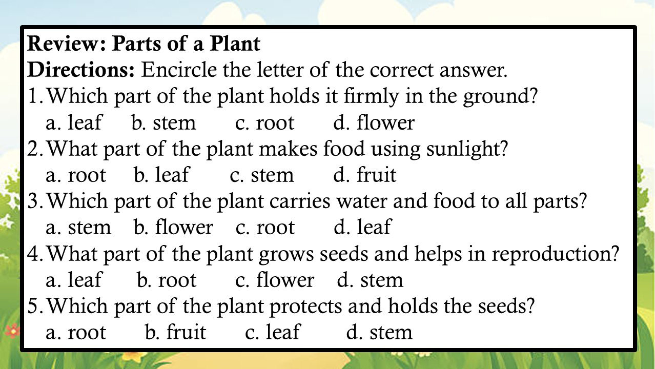 Plant Study Direction Review: Parts of a Plant Directions: | StudyX