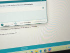 Professional Cia Report.pdf Enter the correct spelling of the term
