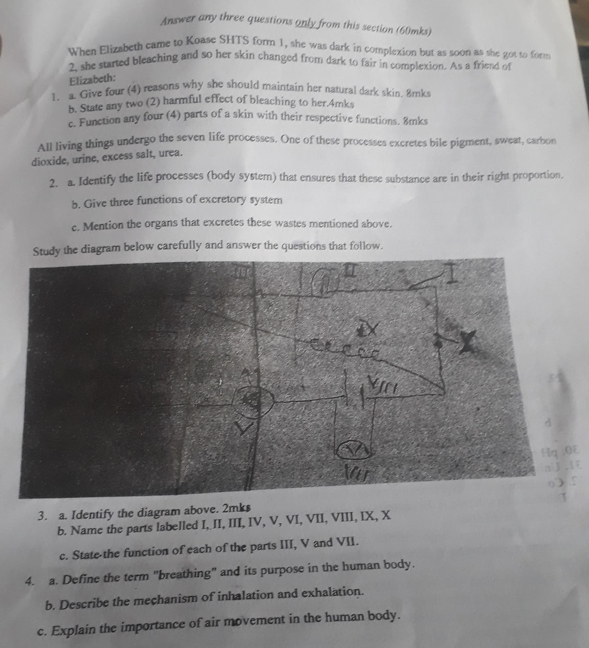 Study the diagram below carefully and answer | StudyX