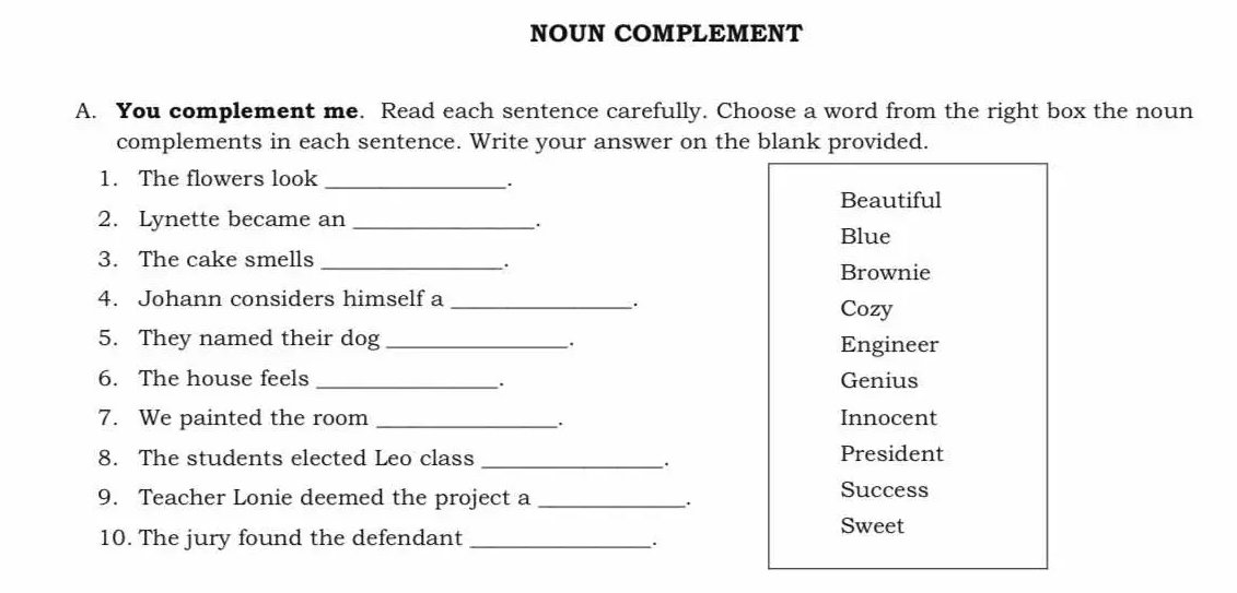 NOUN COMPLEMENT A. You complement me. Read | StudyX