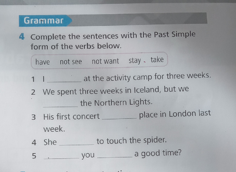 Complete the sentences with the Past Simple | StudyX