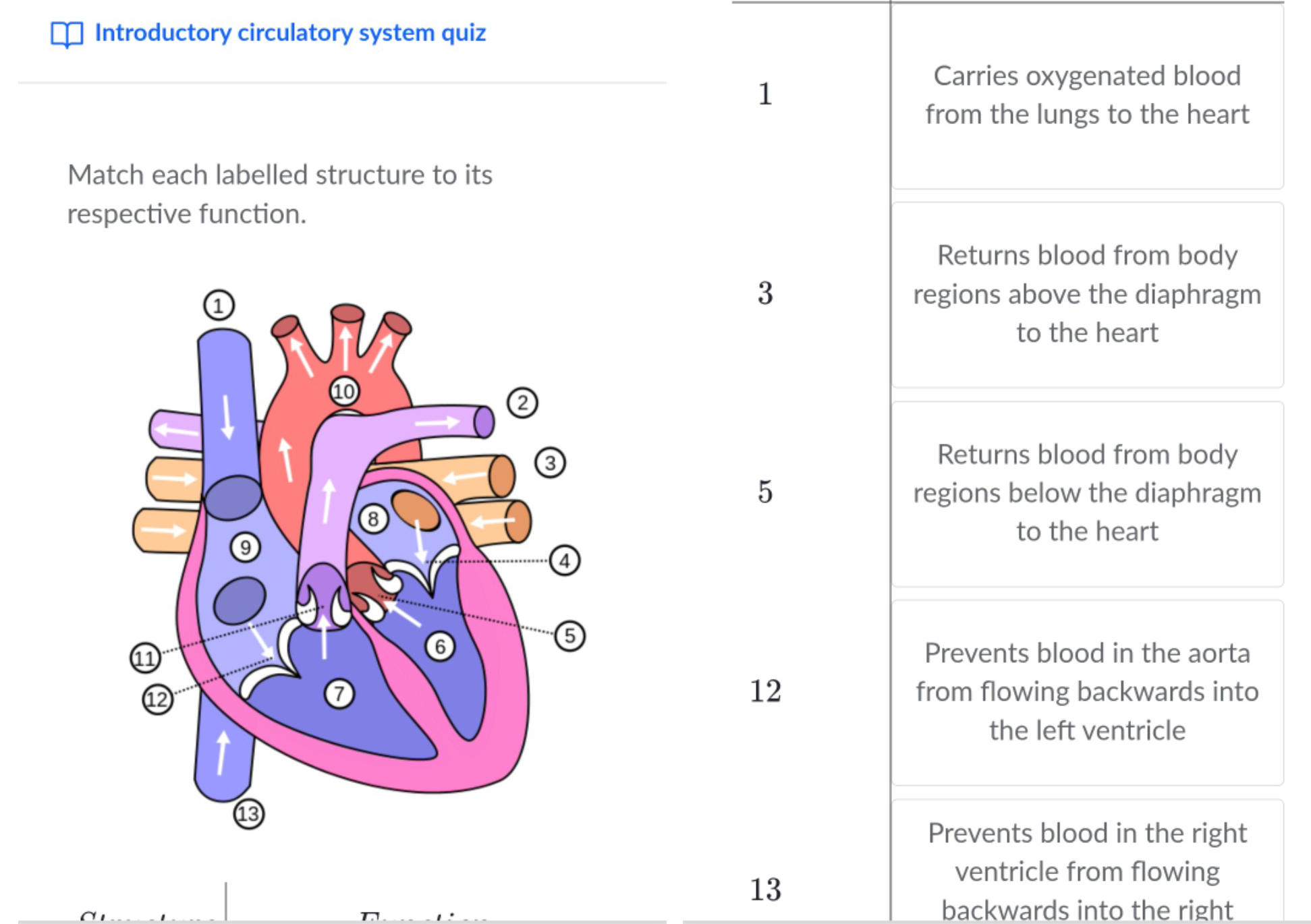 Pdf Function Labelled Match each labelled structure to its | StudyX