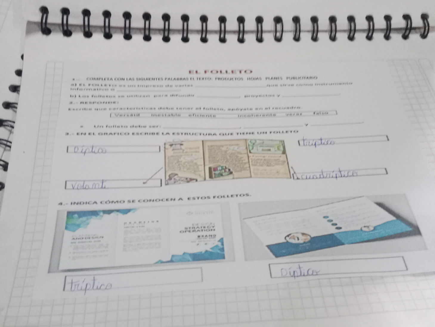 COMPLETA CON LAS SIGUIENTES PALABRAS EL | StudyX