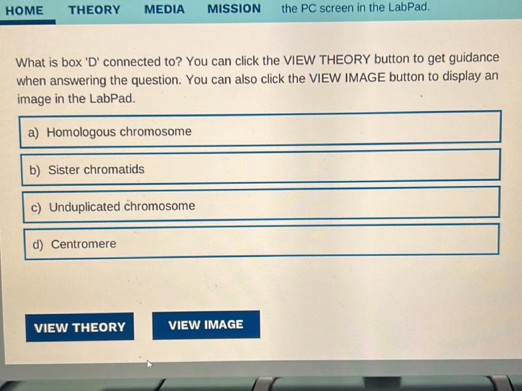 Box D Examples What is box 'D' connected to? You can click | StudyX