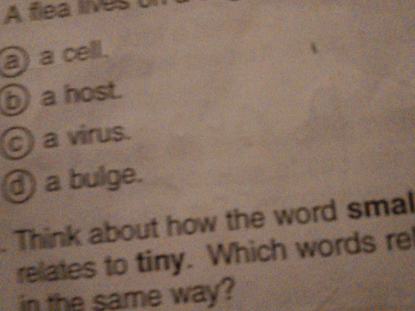 Same Small Think about how the word small relates to | StudyX