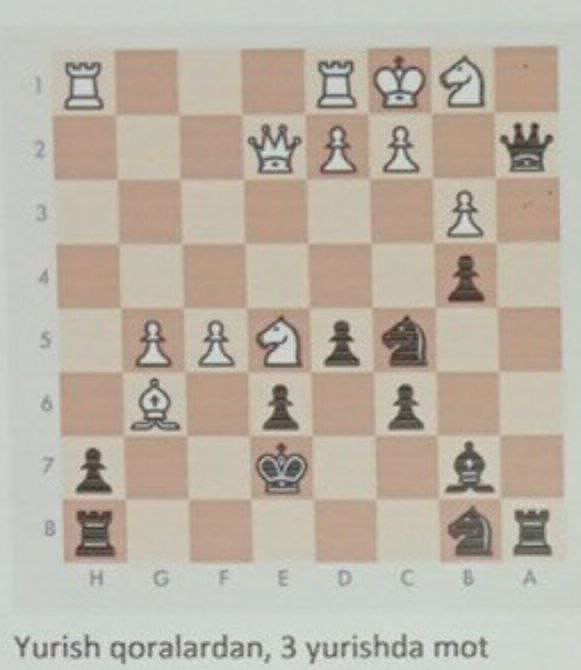 Chess position analysis: White pieces: King | StudyX