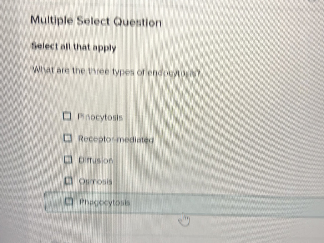 Multiple Select Question Select all that | StudyX