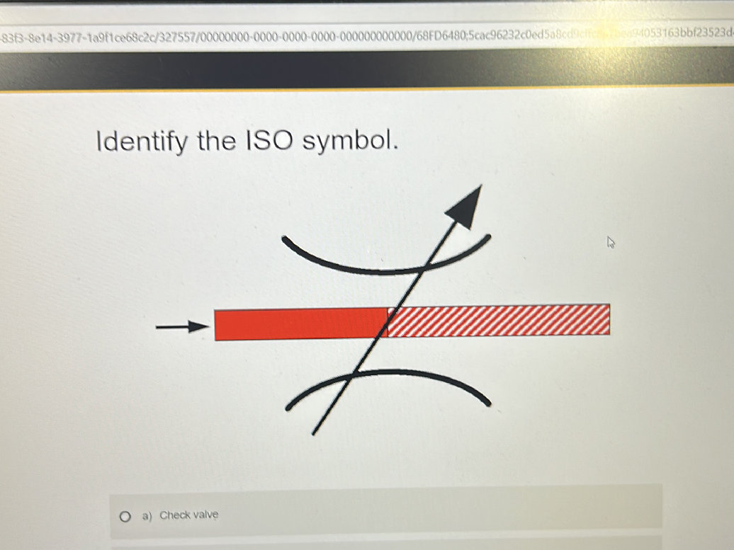 Identify the ISO symbol. (Image of an ISO | StudyX