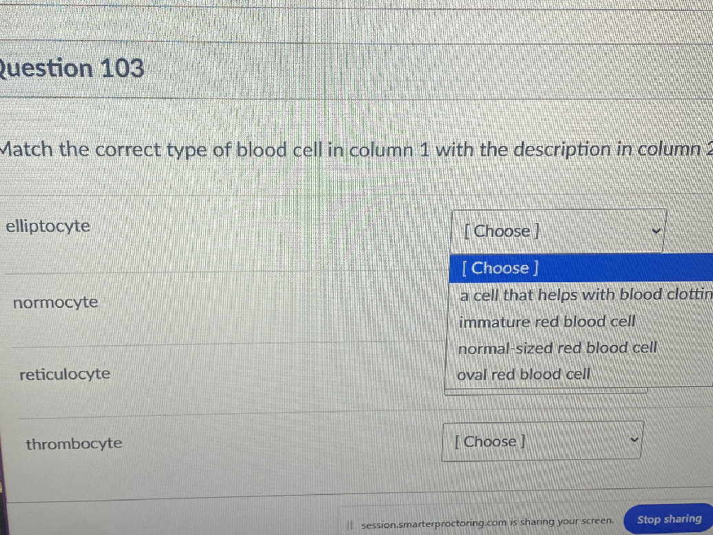 Blood Column Match the correct type of blood cell in | StudyX