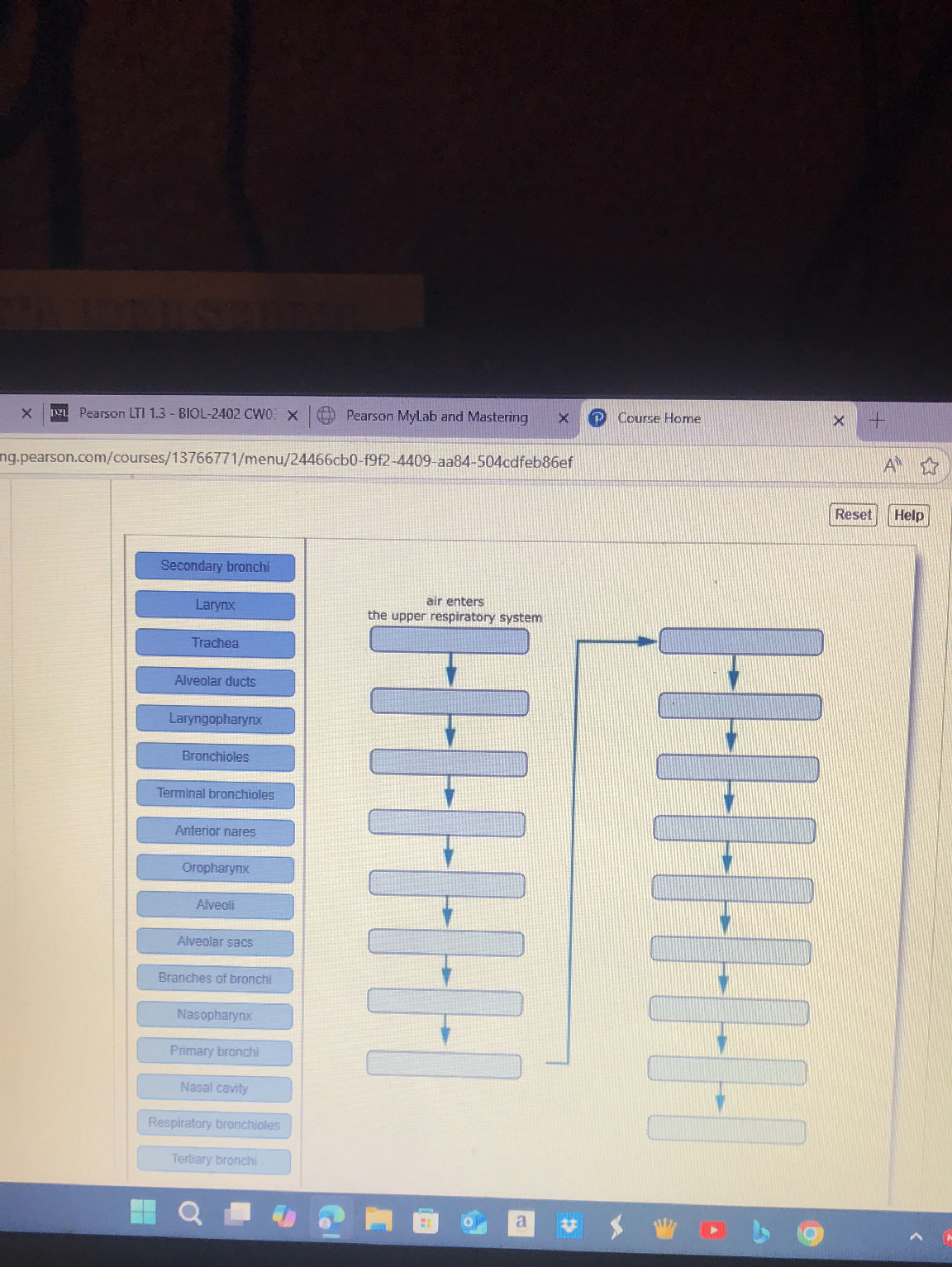 Complete the flow chart showing the path of | StudyX