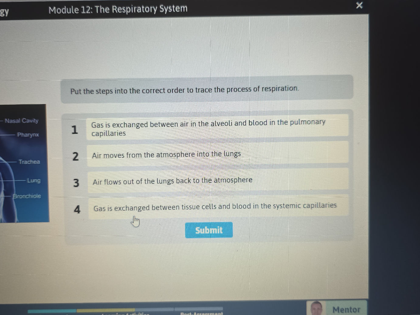 Put the steps into the correct order to