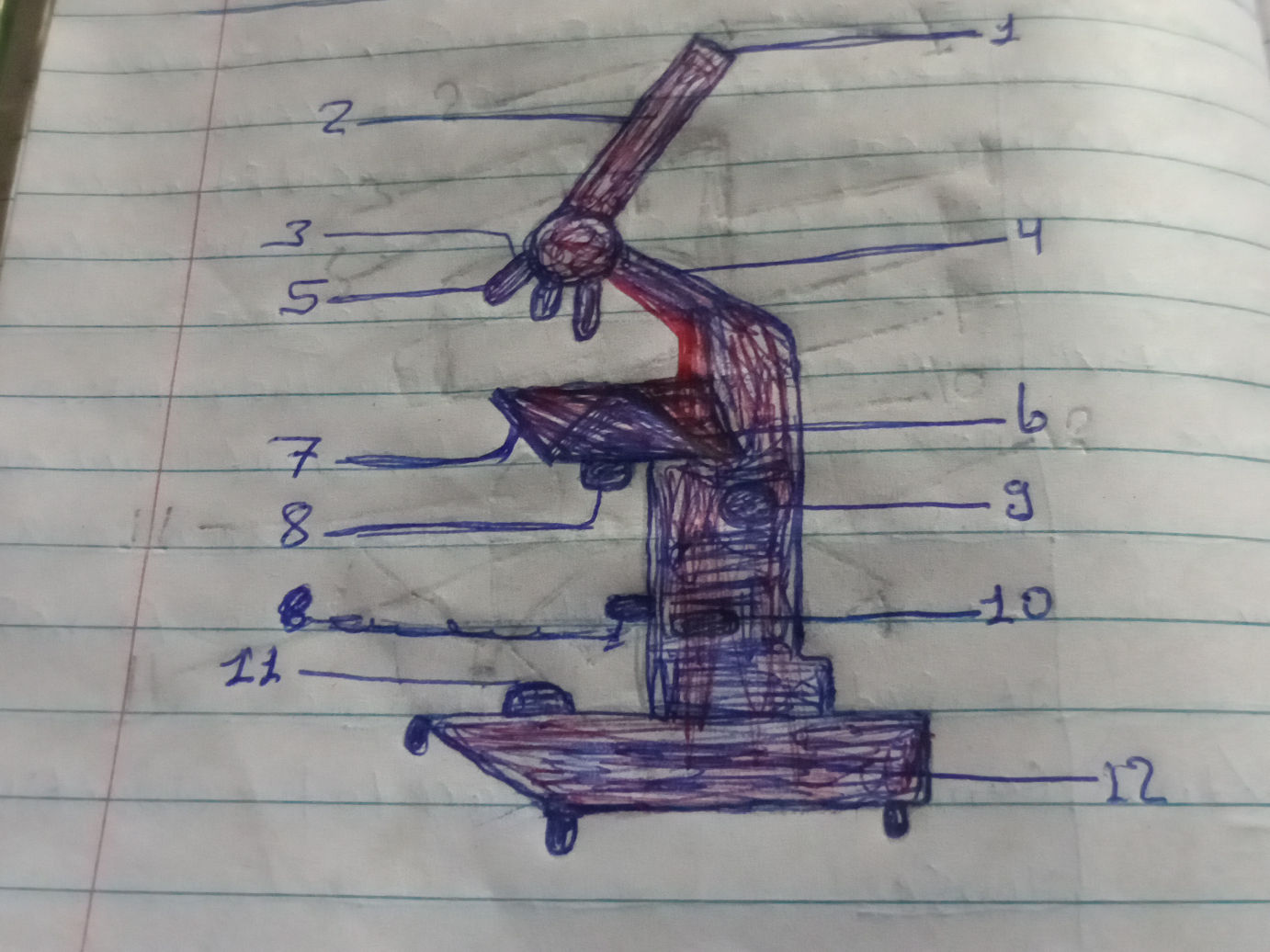 Identify the parts of the microscope labeled | StudyX