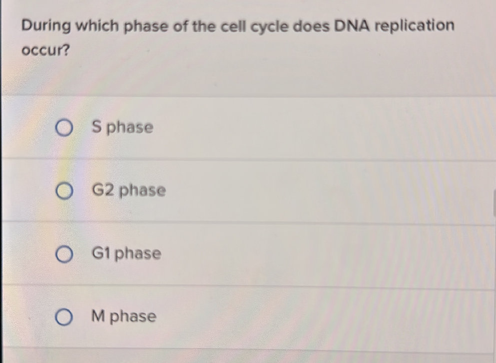 During which phase of the cell cycle does | StudyX