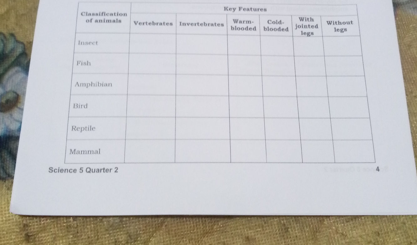 Classification of animals | Key Features