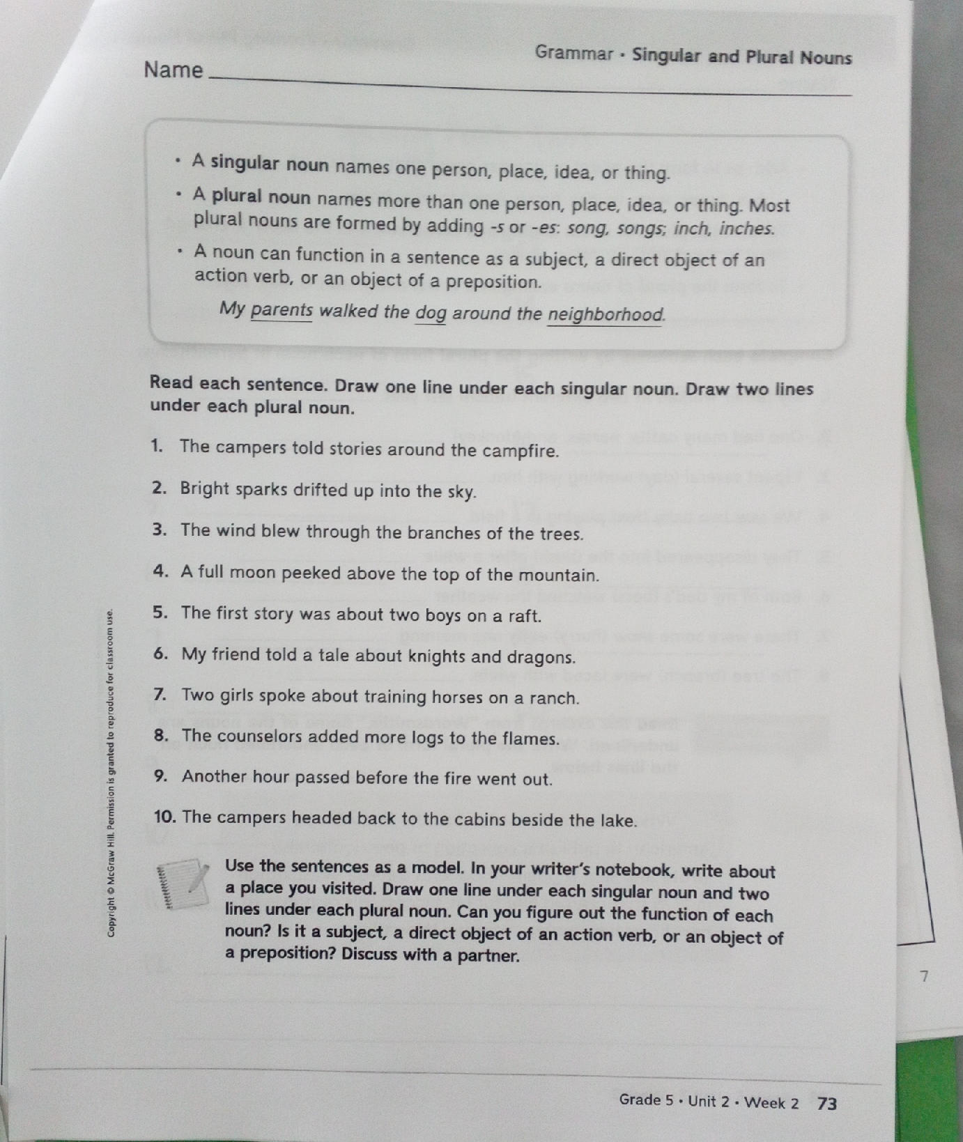 Grammar - Singular and Plural Nouns - A | StudyX