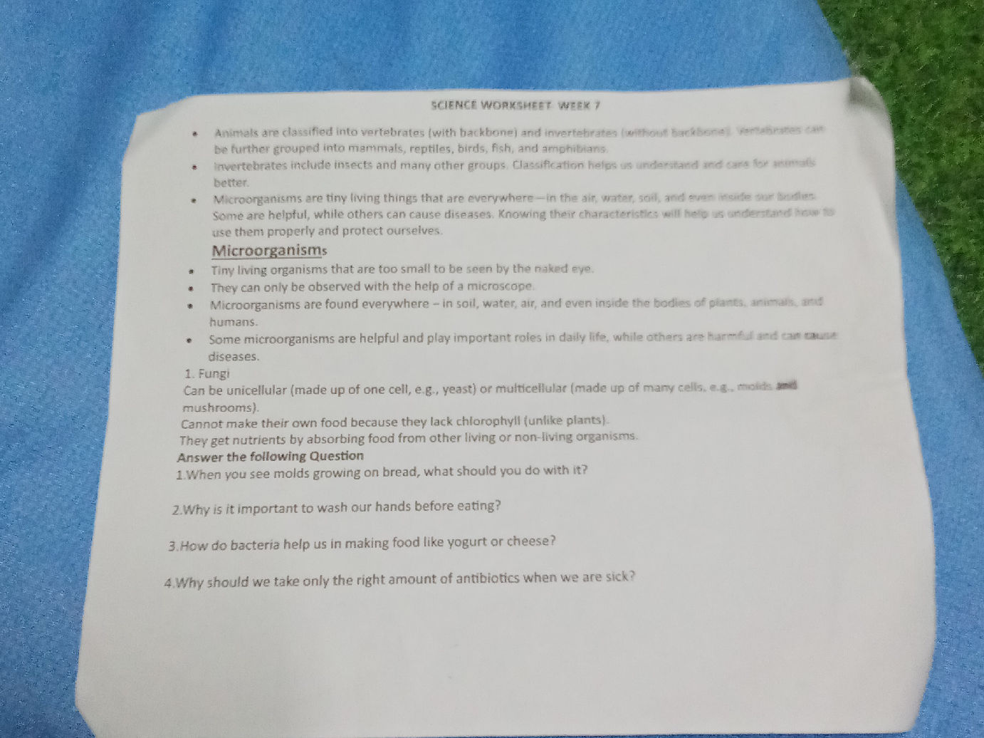 SCIENCE WORKSHEET WEEK 7 Animals are | StudyX