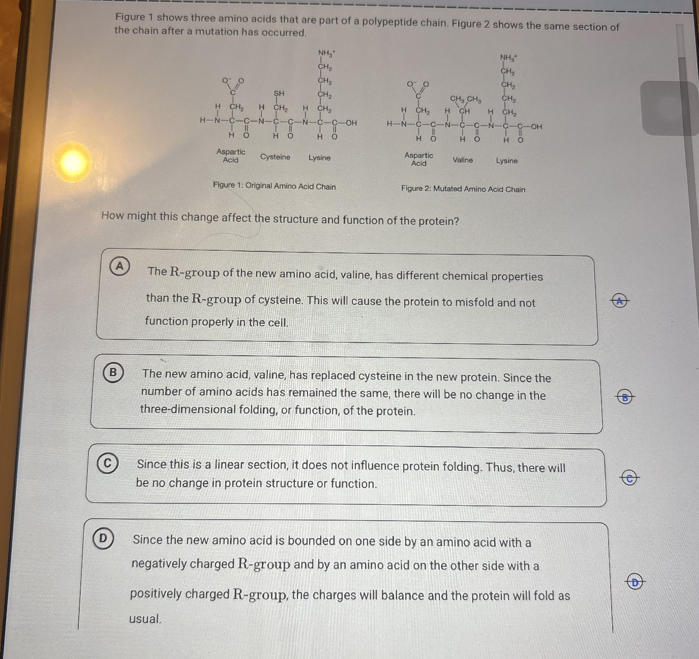 Figure 1 shows three amino acids that are | StudyX