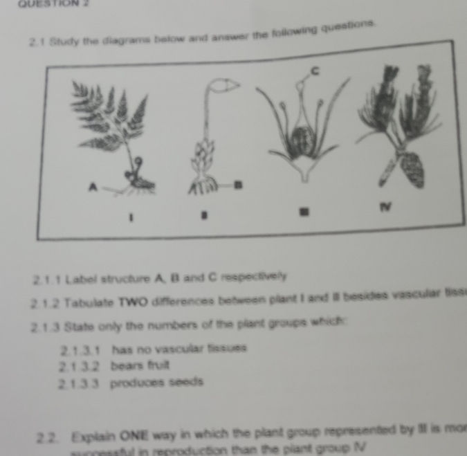 21 Study the diagrams below and answer the | StudyX