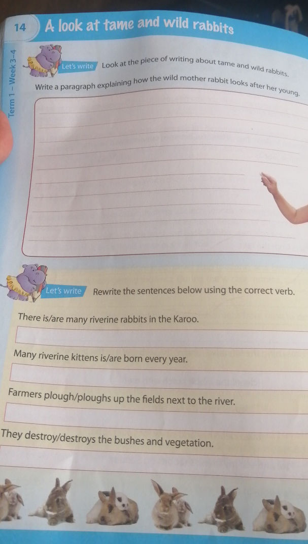 Write a paragraph explaining how the wild | StudyX