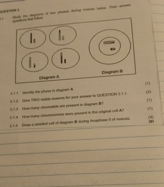 Study the diagrams of two phases during | StudyX