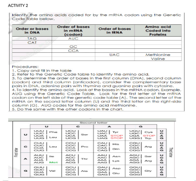 Genetic Code Microbe Notes ACTIVITY 2 Identity the amino acids coded