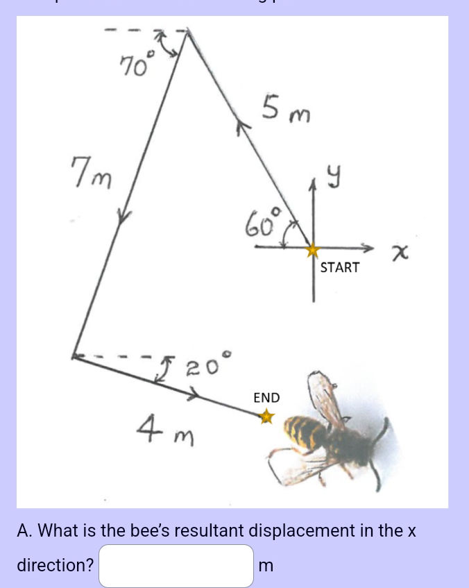 A What is the bees resultant displacement in | StudyX
