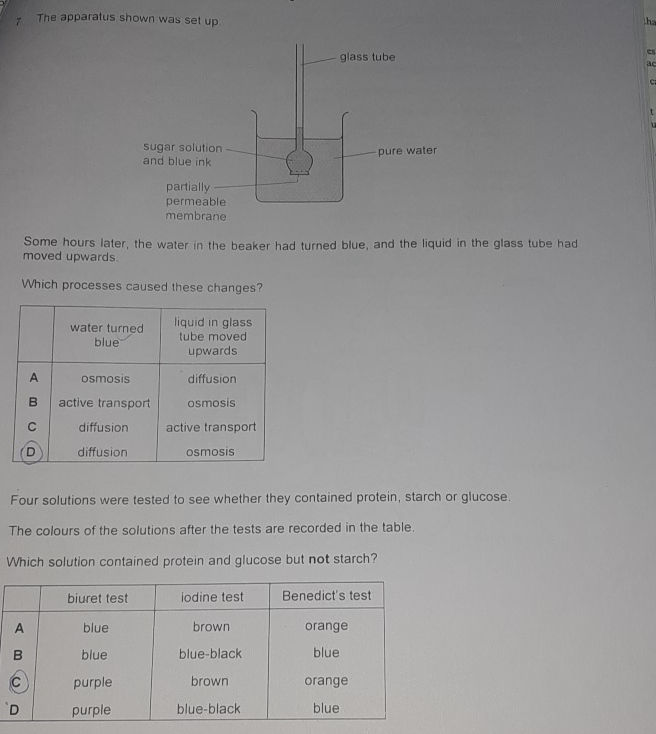 The apparatus shown was set up. Some hours | StudyX