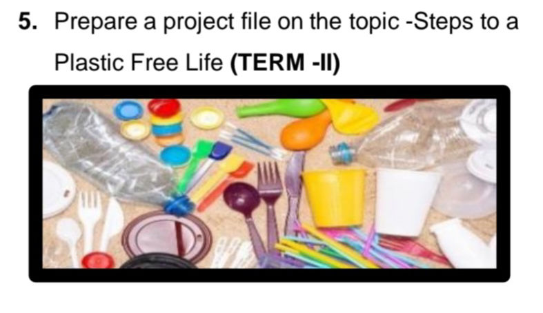 5 Prepare a project file on the topic -Steps | StudyX