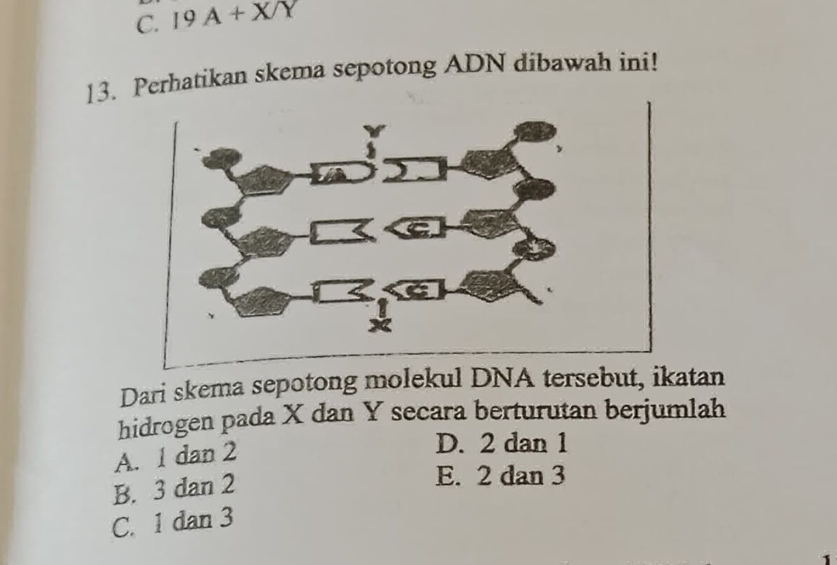 Mengapa Akses ke ADN Terhalang? Ini Penjelasannya Sebenarnya
