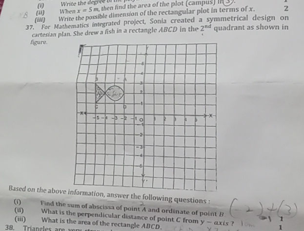 37 For Mathematics integrated project Sonia | StudyX