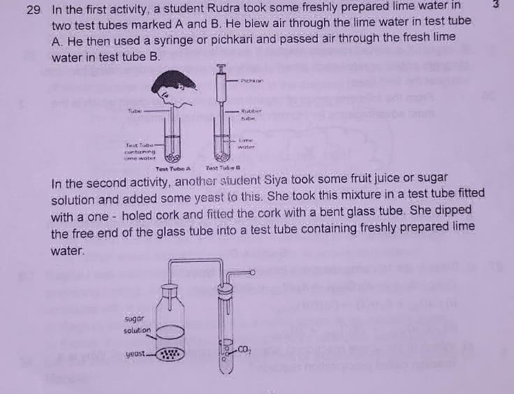 29 In the first activity a student Rudra