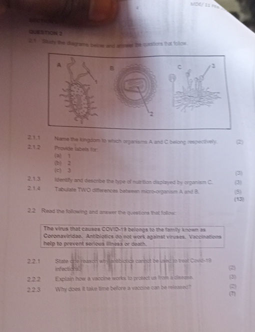 21 Study the diagrams below and answer the | StudyX