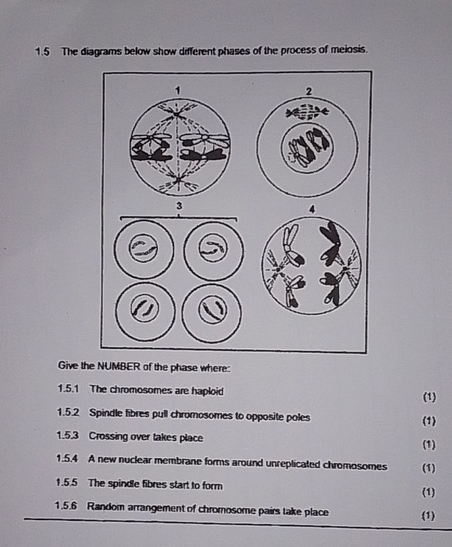 1.5 The diagrams below show different phases | StudyX