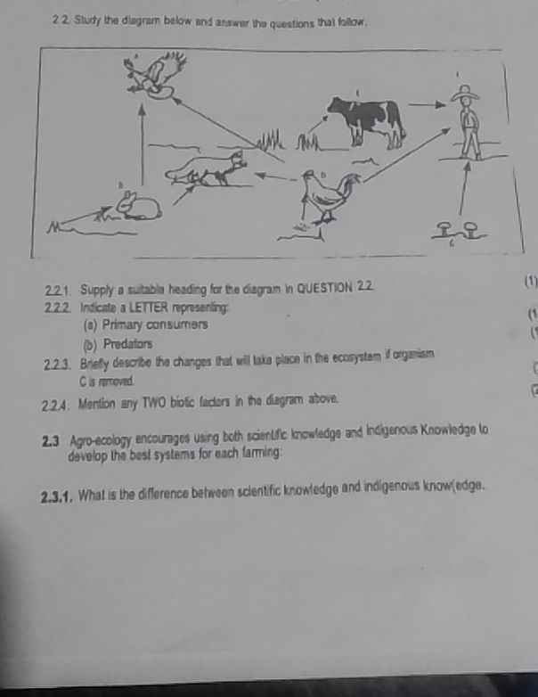 22 Study the diagram below and answer the | StudyX