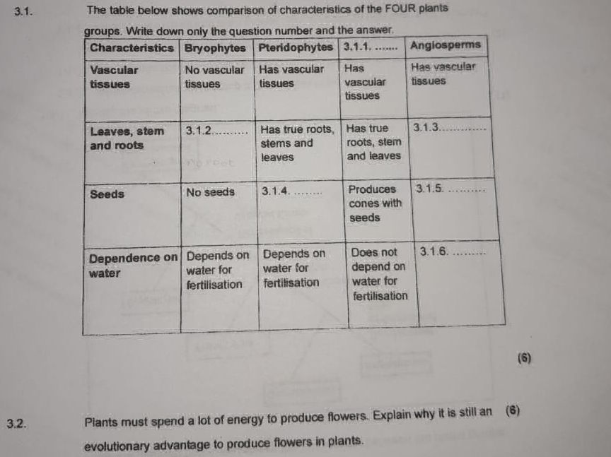 3.1. The table below shows comparison of | StudyX