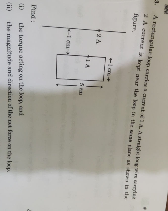 A rectangular loop carries a current of 1 A. | StudyX