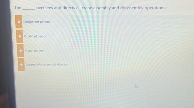 The oversees and directs all crane assembly