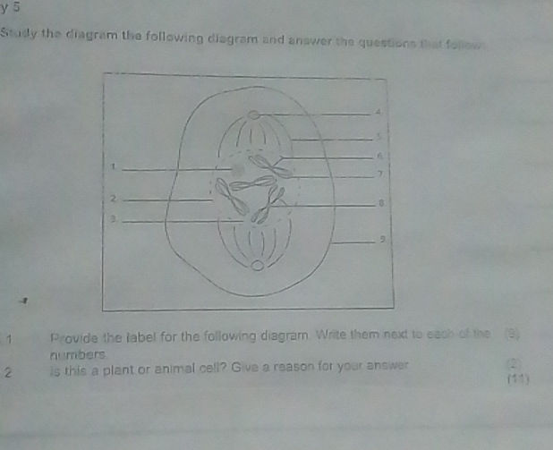 Study the diagram the following diagram and | StudyX