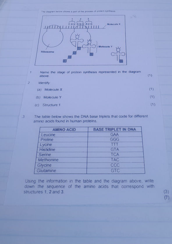 The diagram below shows a part of the | StudyX