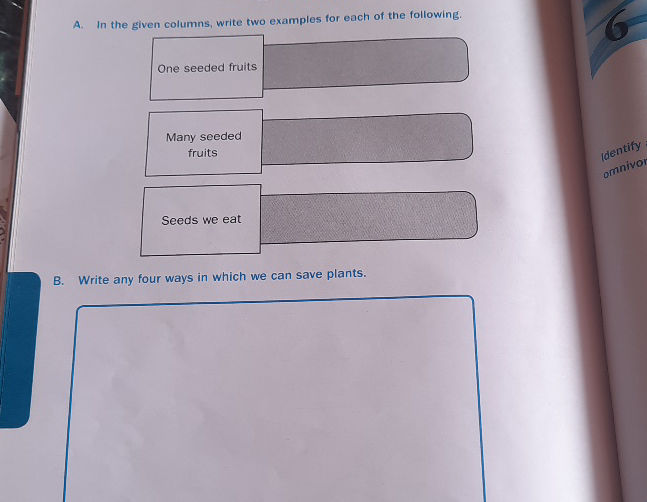 A In the given columns write two examples | StudyX