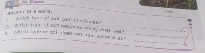Answer in a word 1 Which type of soil | StudyX