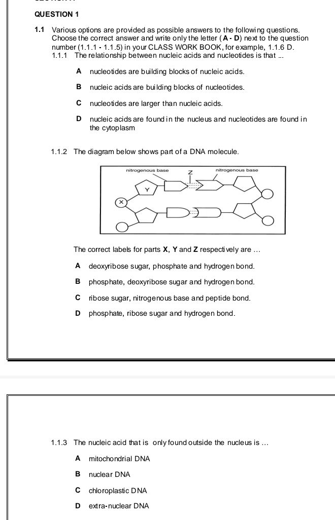 111 The relationship between nucleic acids | StudyX