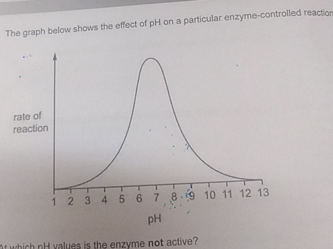 The graph below shows the effect of pH on a | StudyX