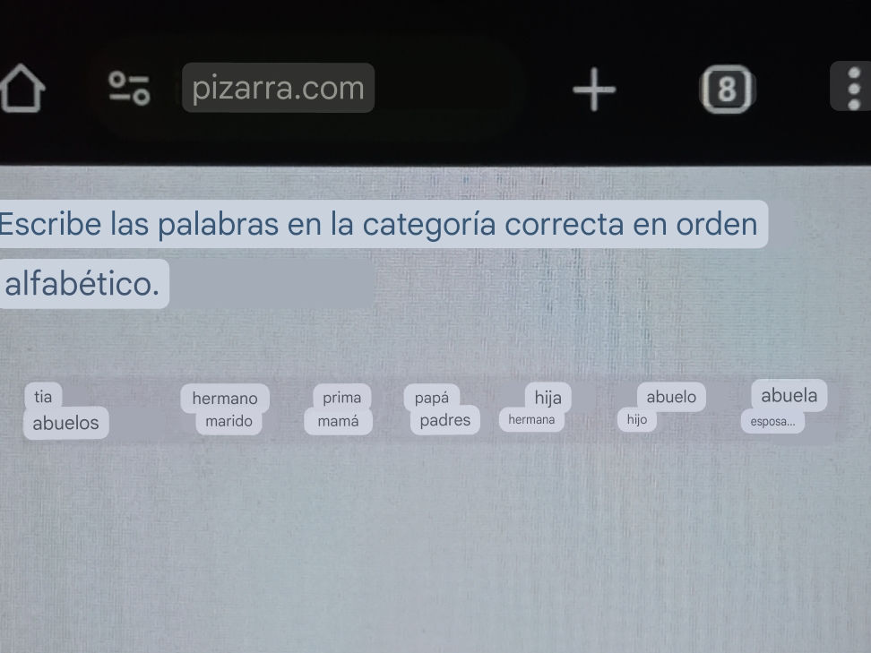 Escribe las palabras en la categoría | StudyX