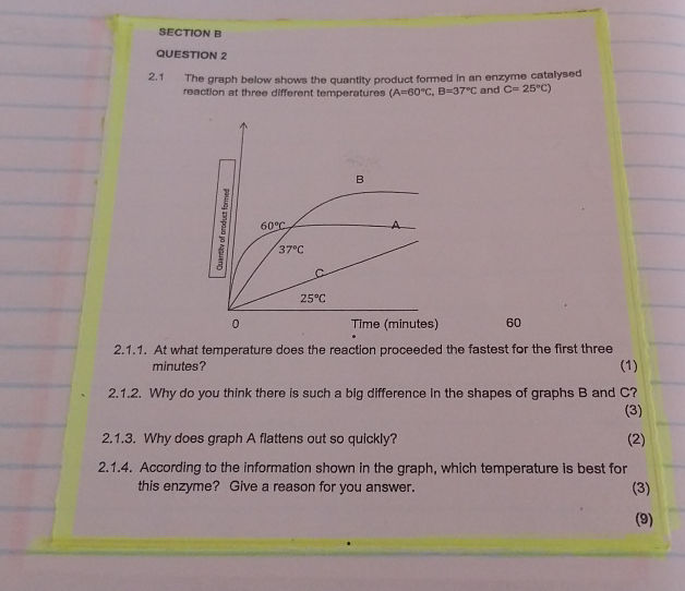 SECTION B QUESTION 2 21 The graph below | StudyX