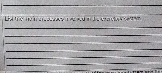 List the main processes involved in the | StudyX