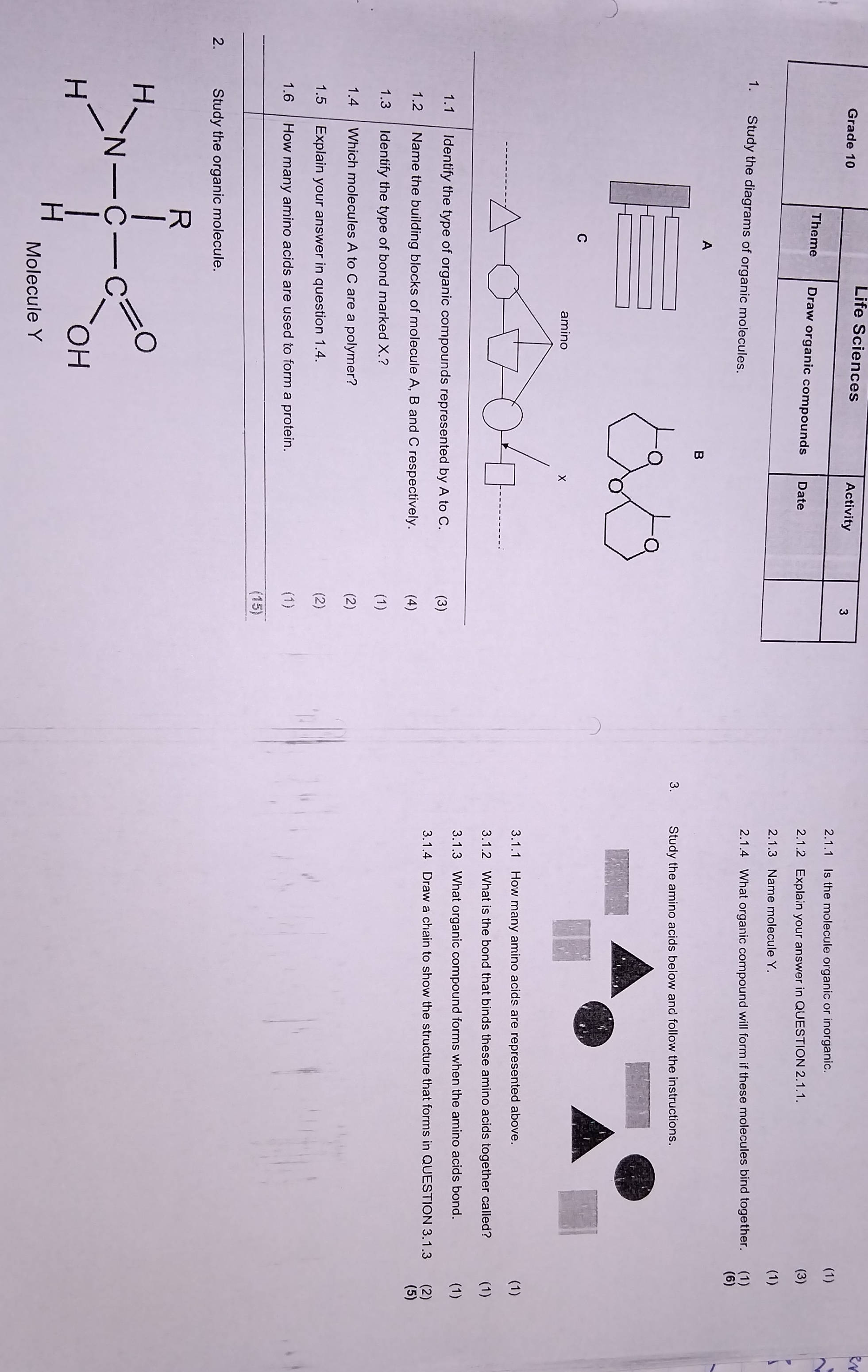 Study the diagrams of organic molecules 11 | StudyX