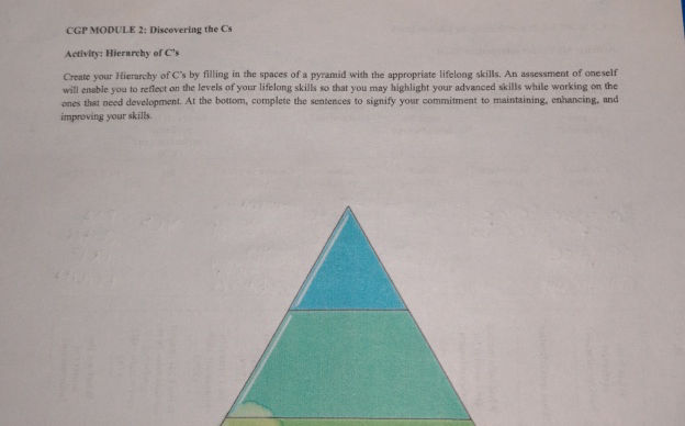 CGP MODULE 2 Discovering the Cs Activity