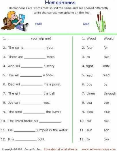 Homophones are words that sound the same and | StudyX