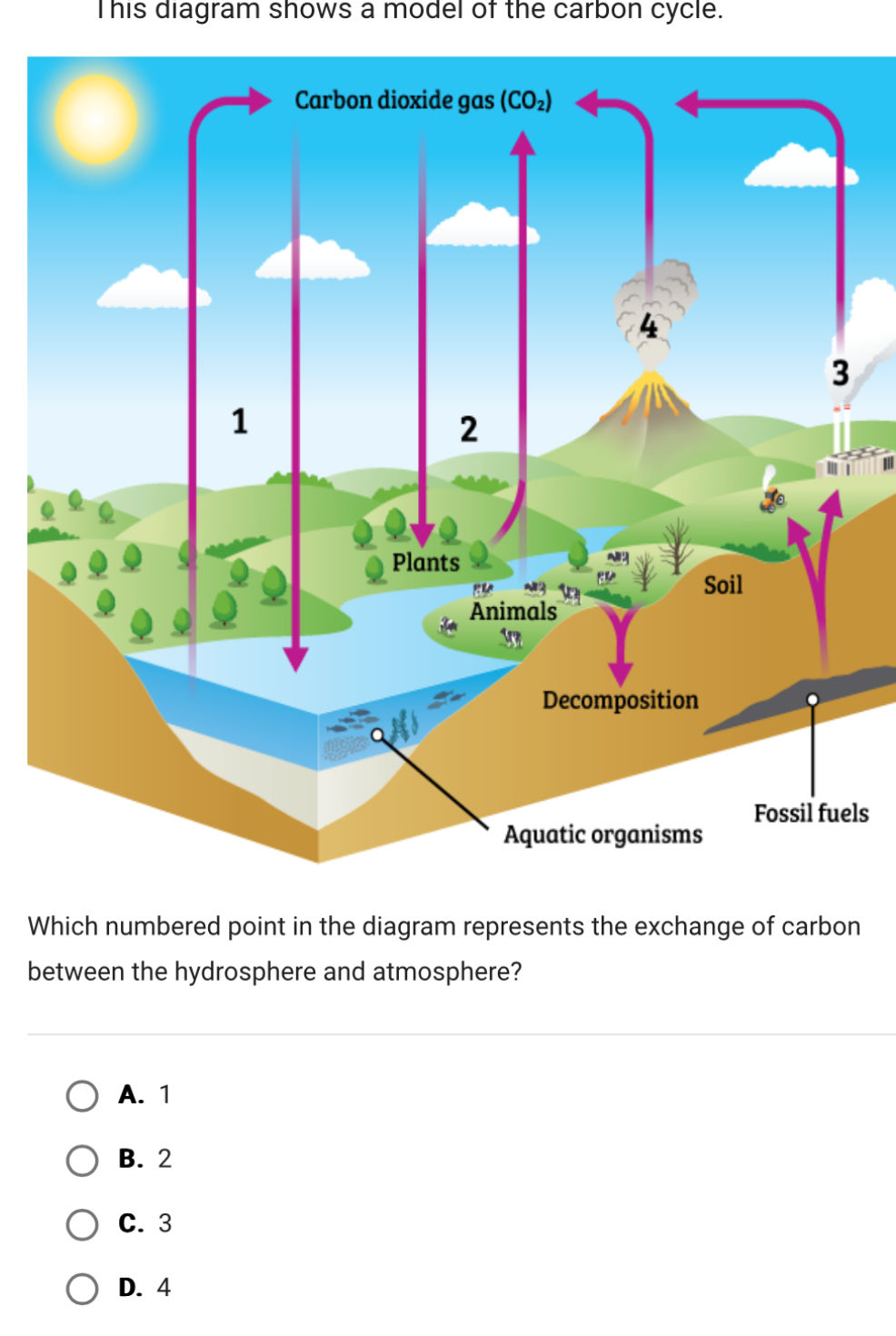 This diagram shows a model of the carbon